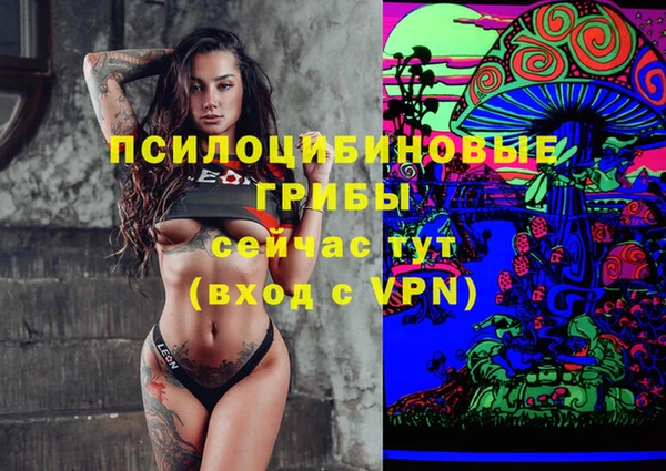 мяу мяу мука Беломорск