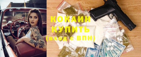 мяу мяу мука Беломорск
