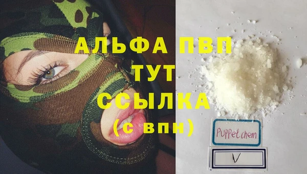 ECSTASY Приозерск