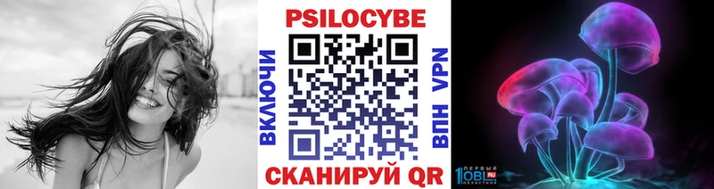 даркнет сайт  Ачхой-Мартан  Галлюциногенные грибы ЛСД 