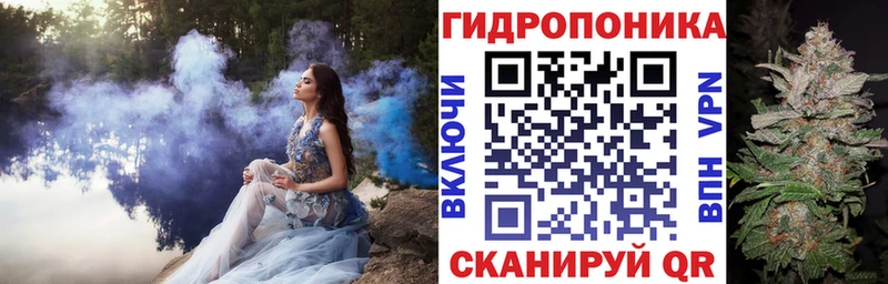 Марихуана сатива  где купить наркоту  Ачхой-Мартан 